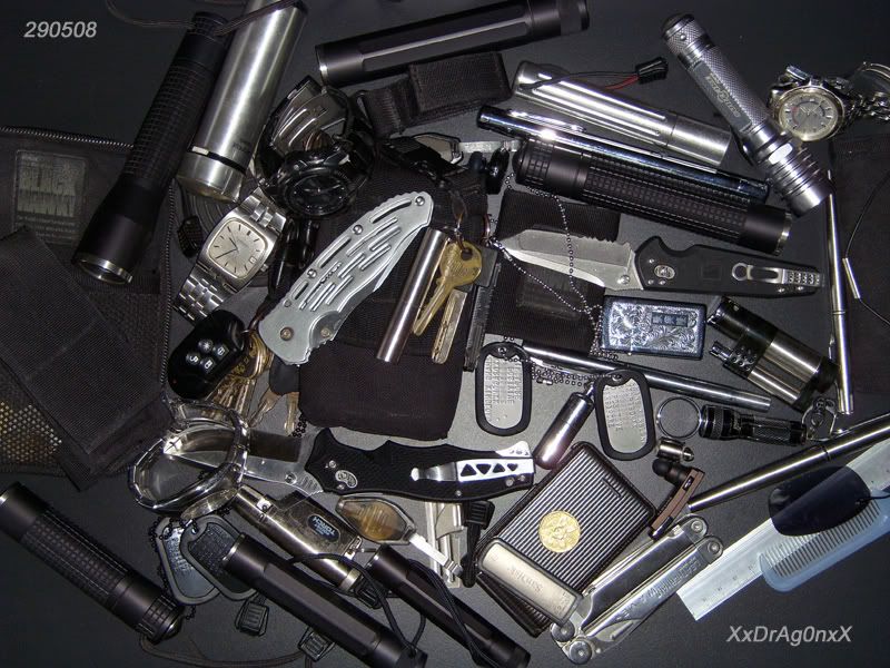 EDC290508.jpg