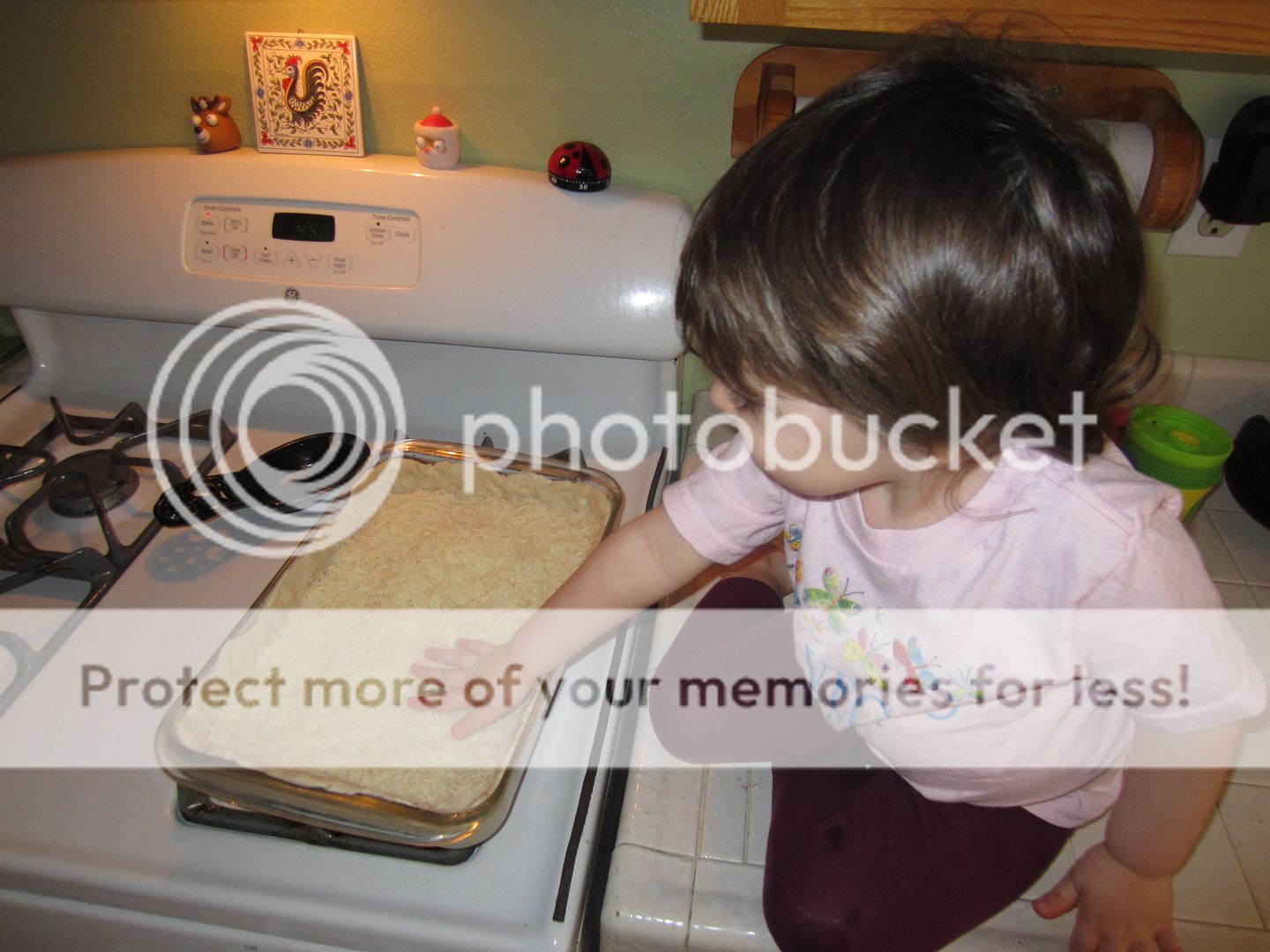 IMG_9707_zpsc9857bd6.jpg