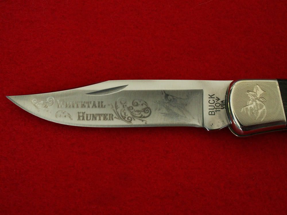 WT1102.jpg