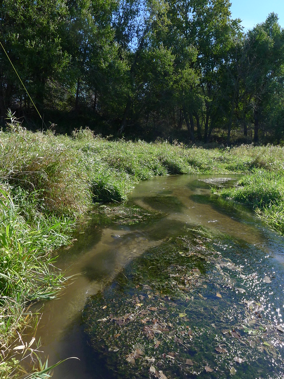 P1040982-XL.jpg