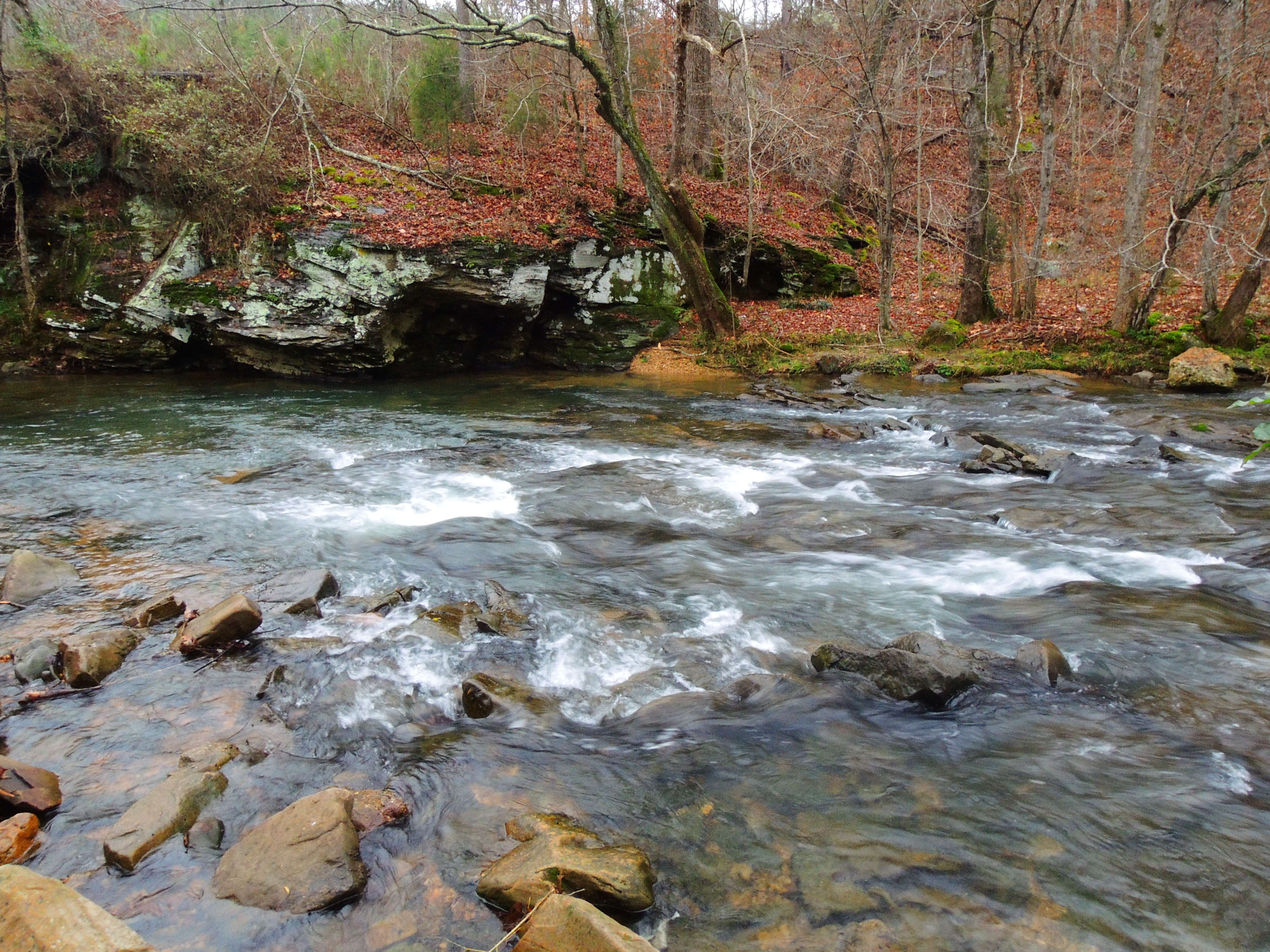 dscn6142s.jpg