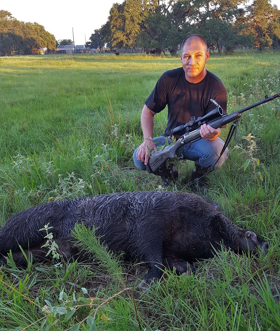 2016-09-15%20Boar.jpg