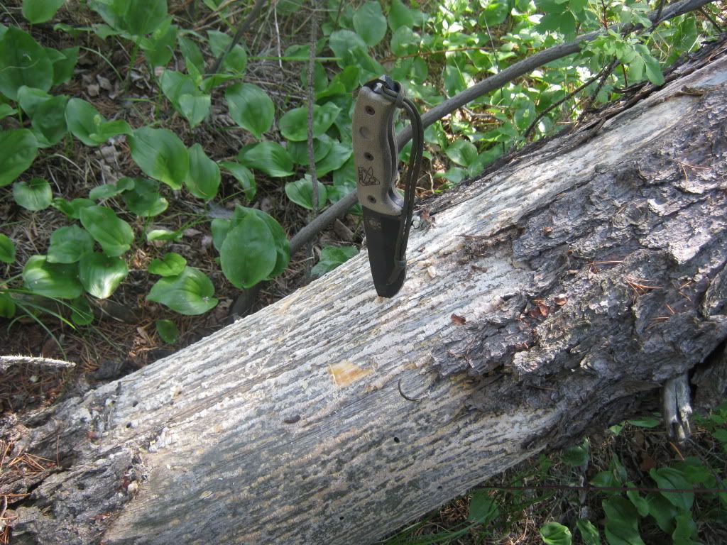 IMG_7557.jpg