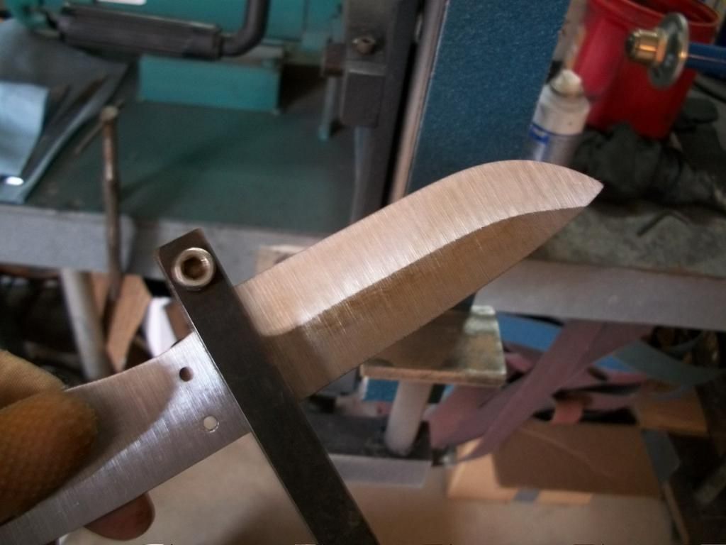 fishyprogress011.jpg