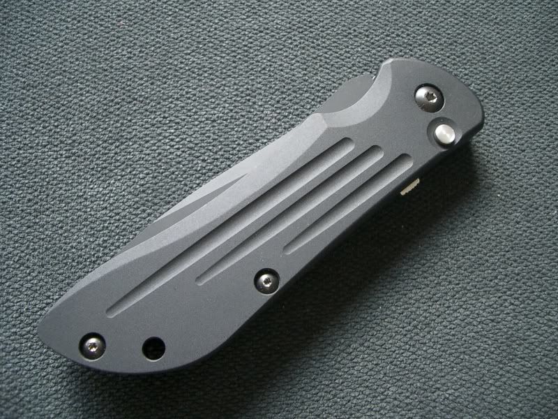IMGP5877.jpg