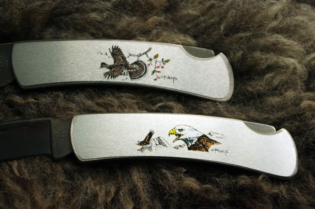 Buck526WiedehopfAdlerDetail.jpg