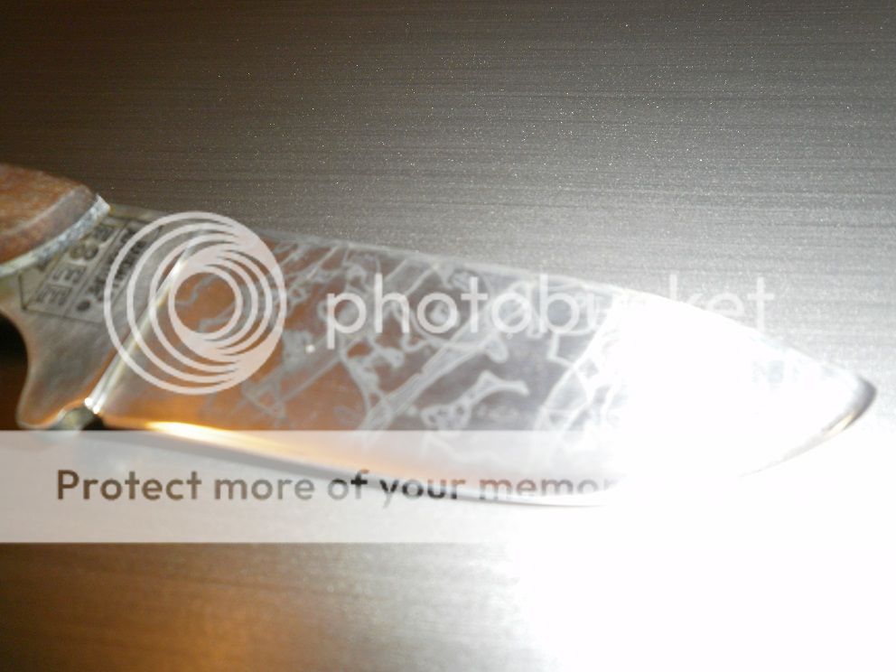 P9090206.jpg