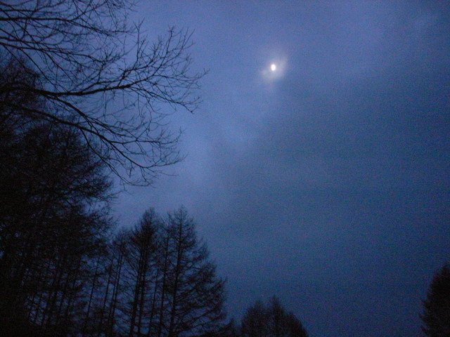 2008.12.02.R0017223.JPG