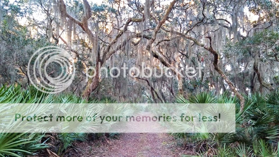 2014120604sm_zps365246db.jpg
