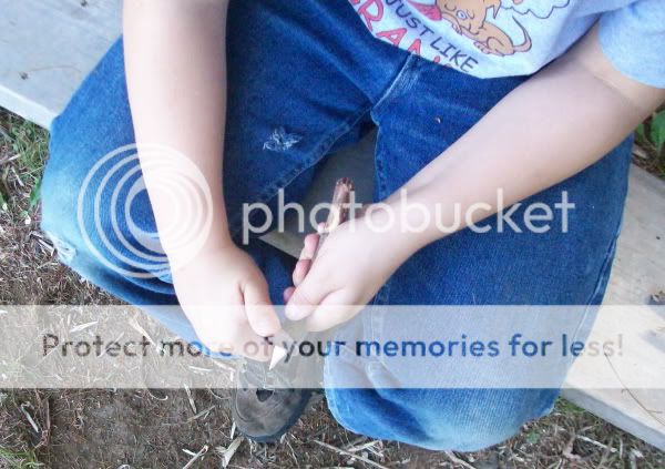 100_1109.jpg