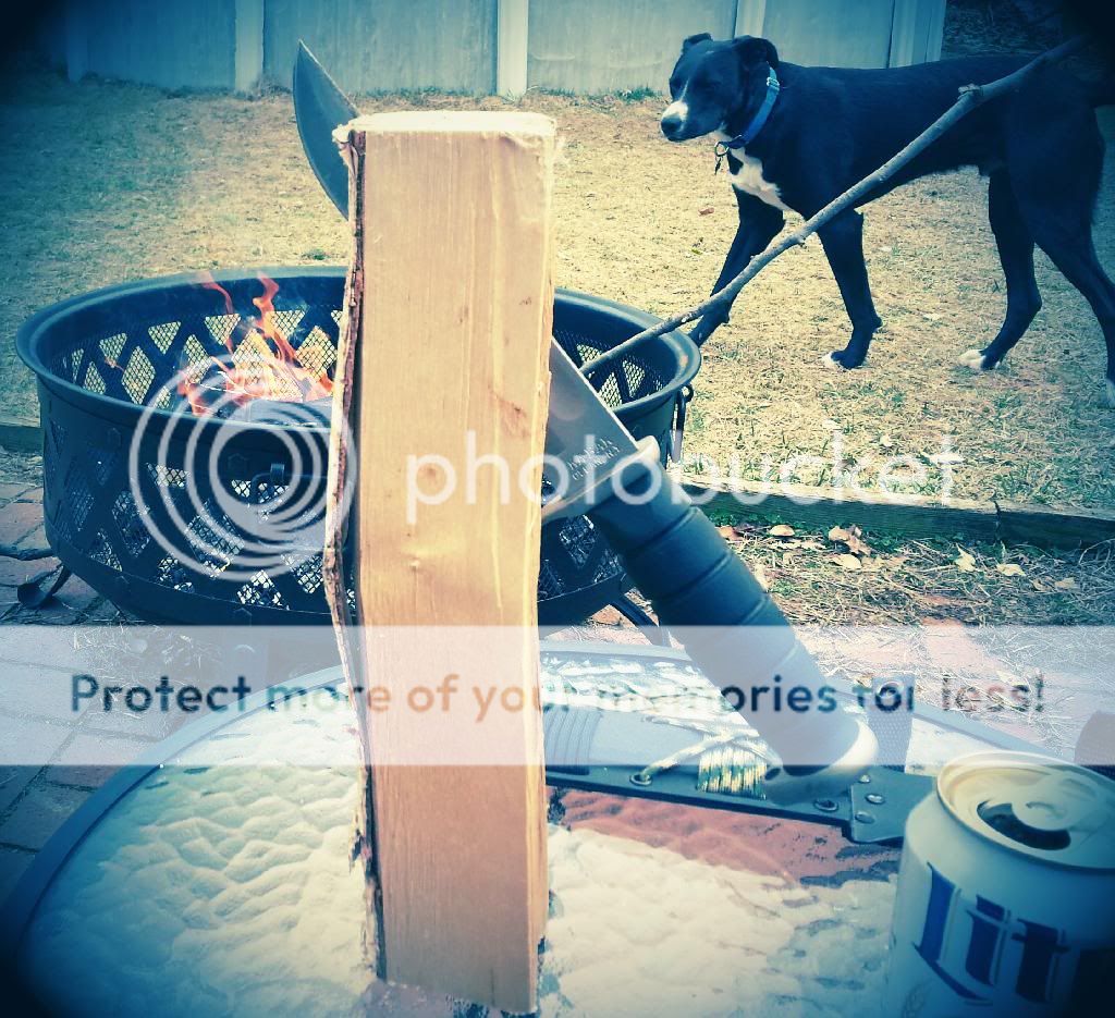 20140401_141836_zpsxvptsrzm.jpg