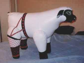 tumblr_lfpeopJRuZ1qzdk38o1_400.jpg
