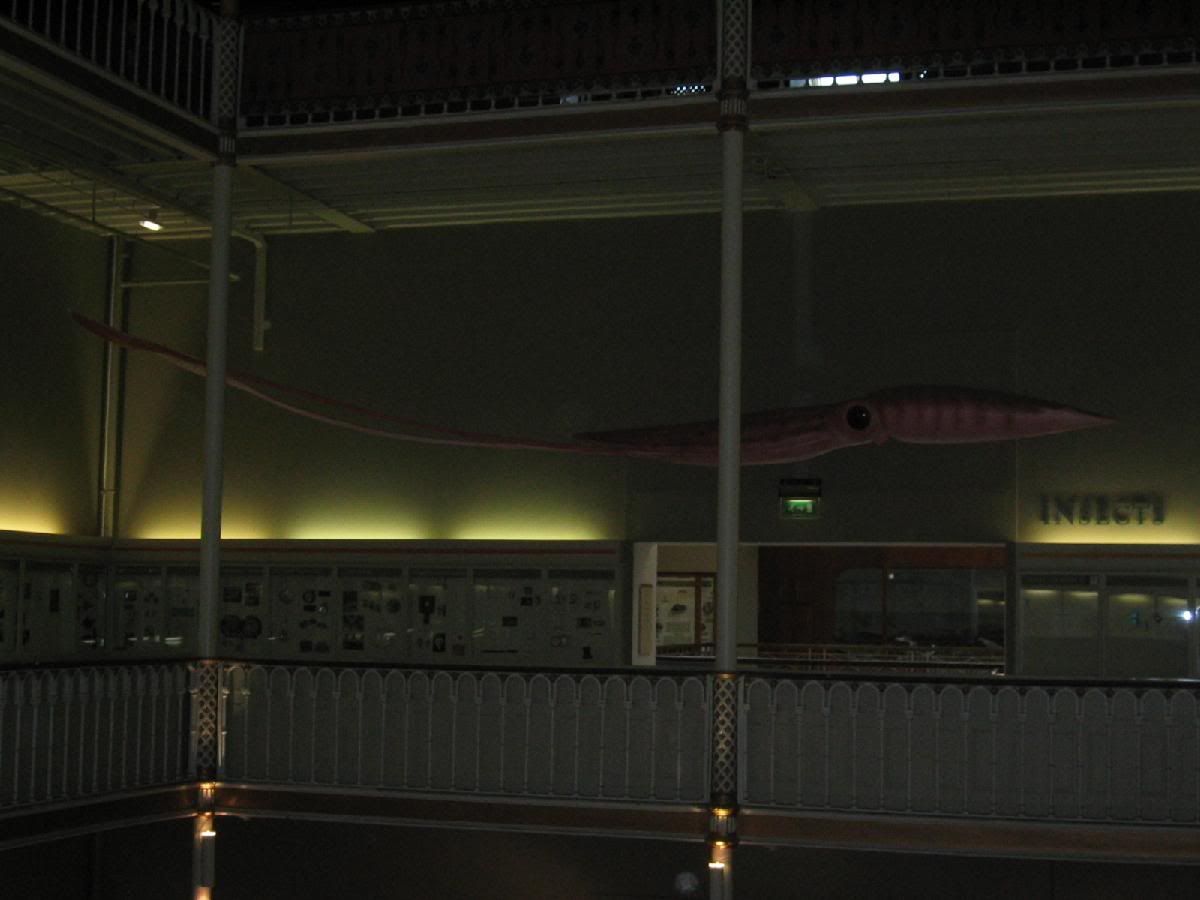 IMG_0341.jpg