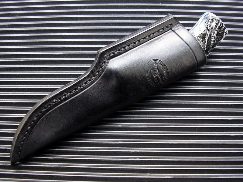 BFCoralHunterSheath.jpg