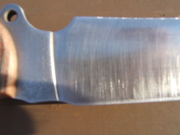 DSCF2102.jpg