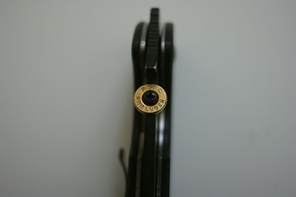 DSC03077.jpg