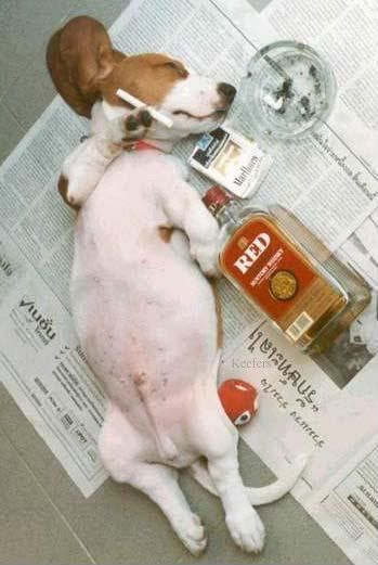 hungover.jpg