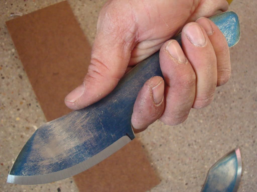 DSC08314.jpg