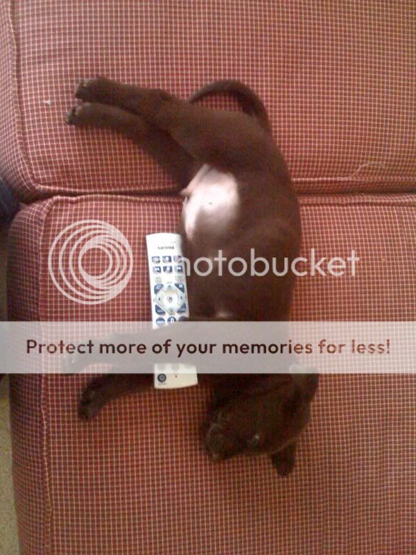 photo-1.jpg