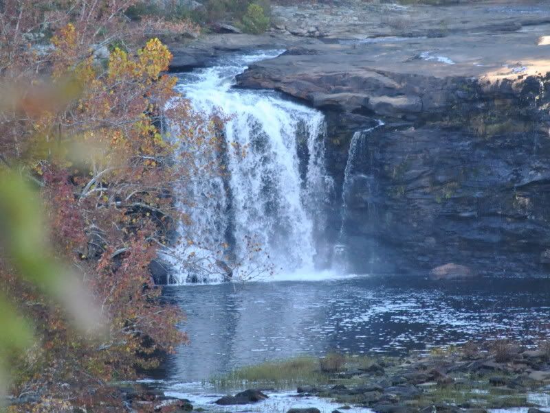 DSC_7751.jpg