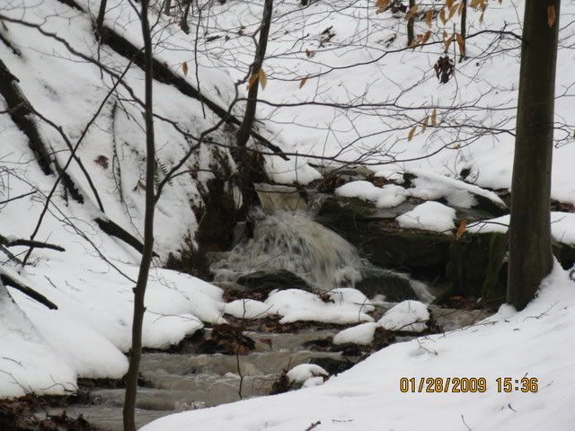 snowdayforthepets068.jpg