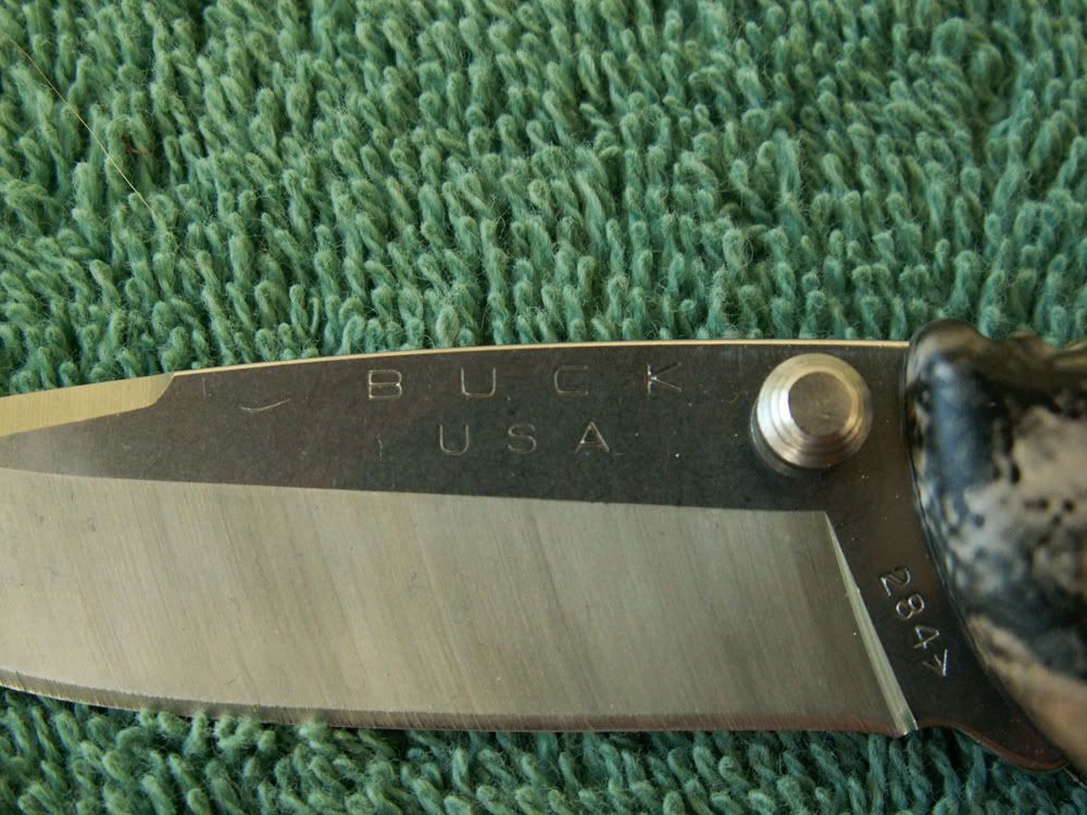 Bantam284b.jpg