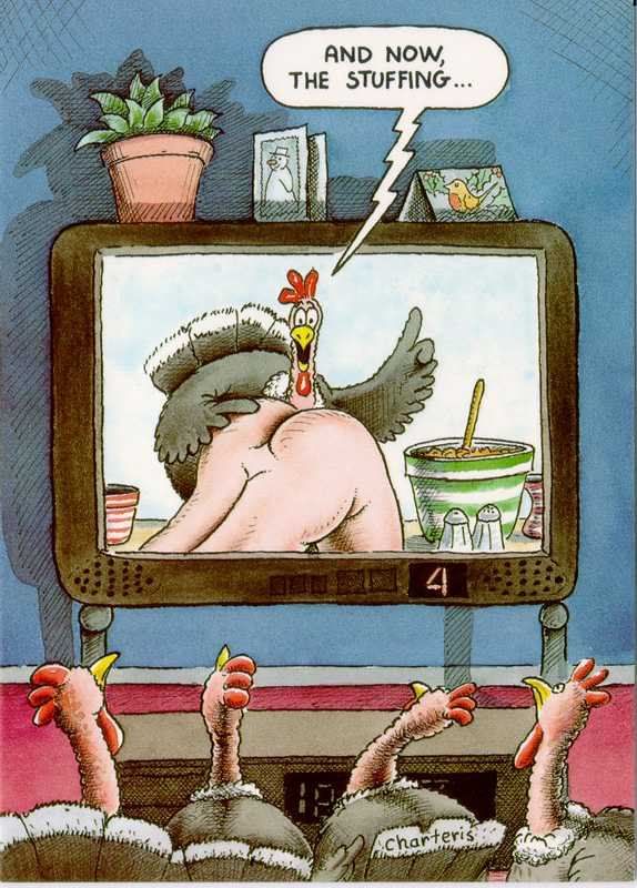 Turkeys.jpg