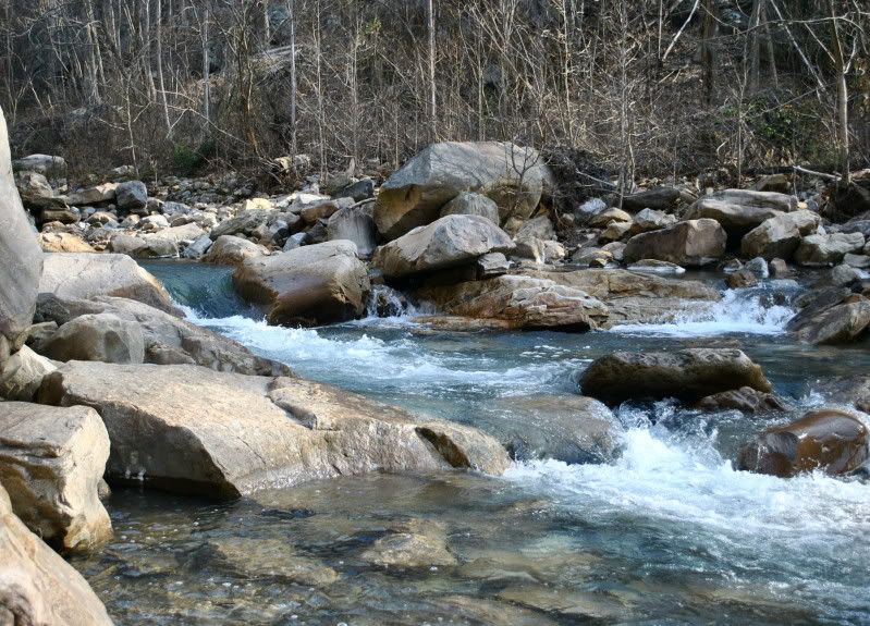 DSC_0742.jpg