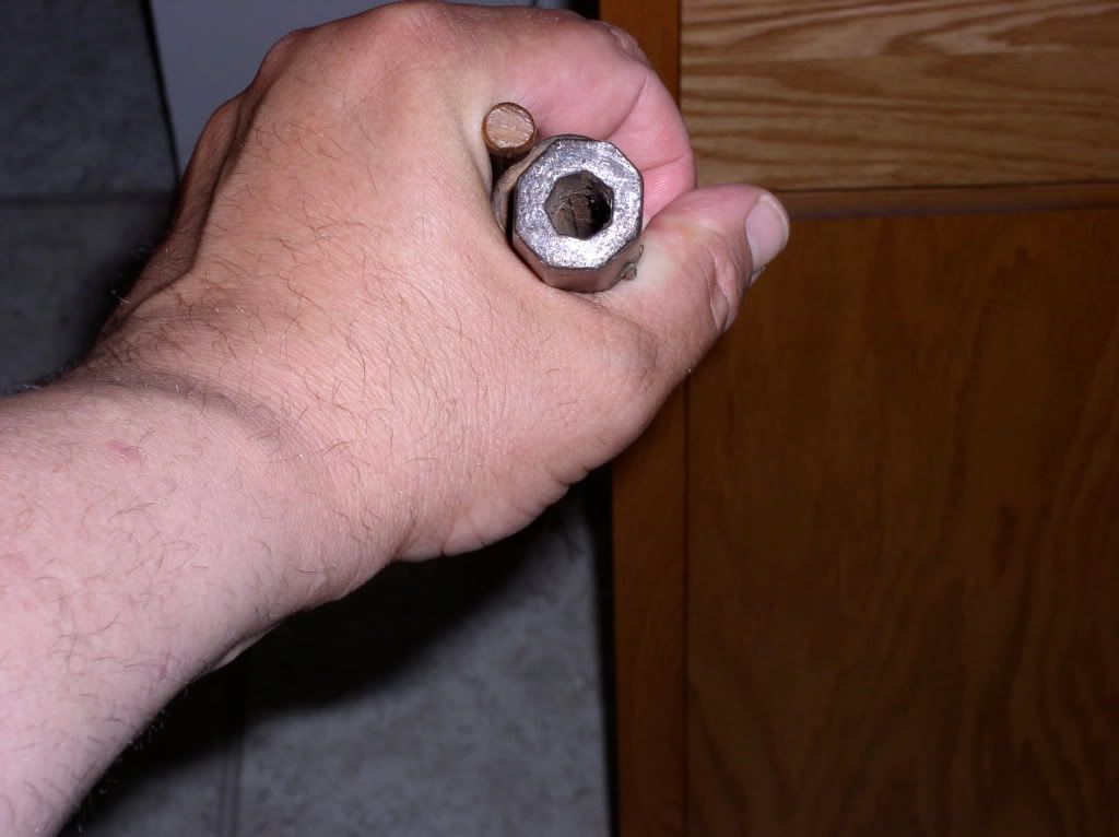 P1010003.jpg