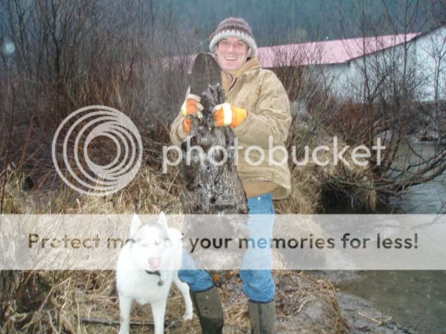 3valleybeaver049.jpg