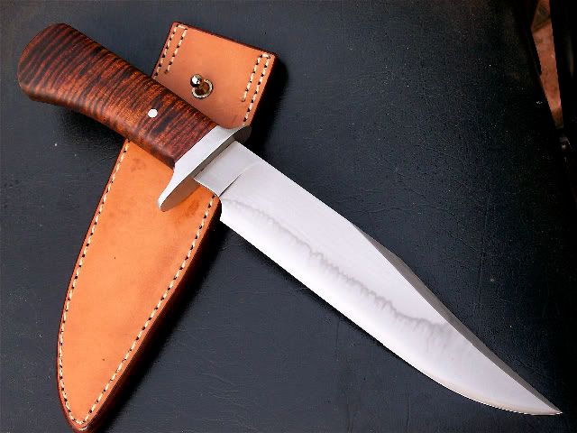 Lameyfighter2.jpg
