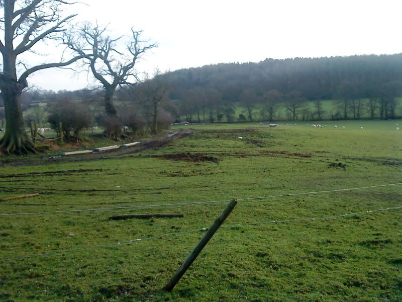DSC00075.jpg