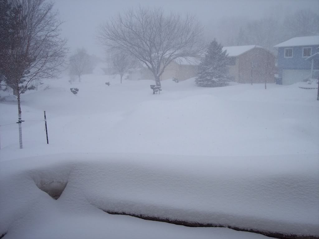 snow.jpg