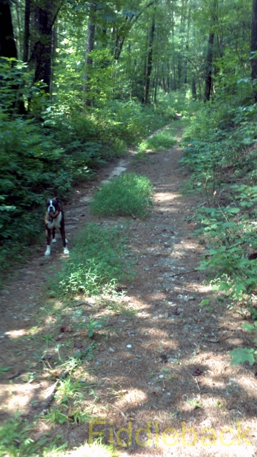 2011090120110826_104753_743-vi.jpg