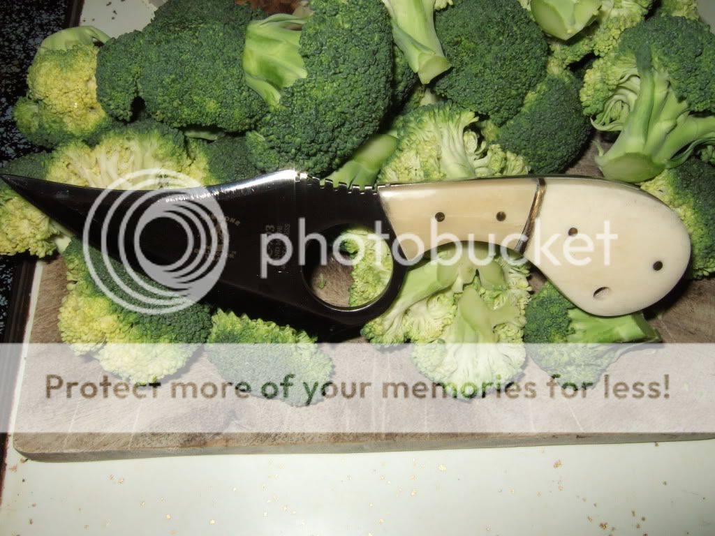 DSCF1006.jpg