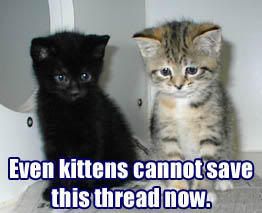 kittenscantsave.jpg