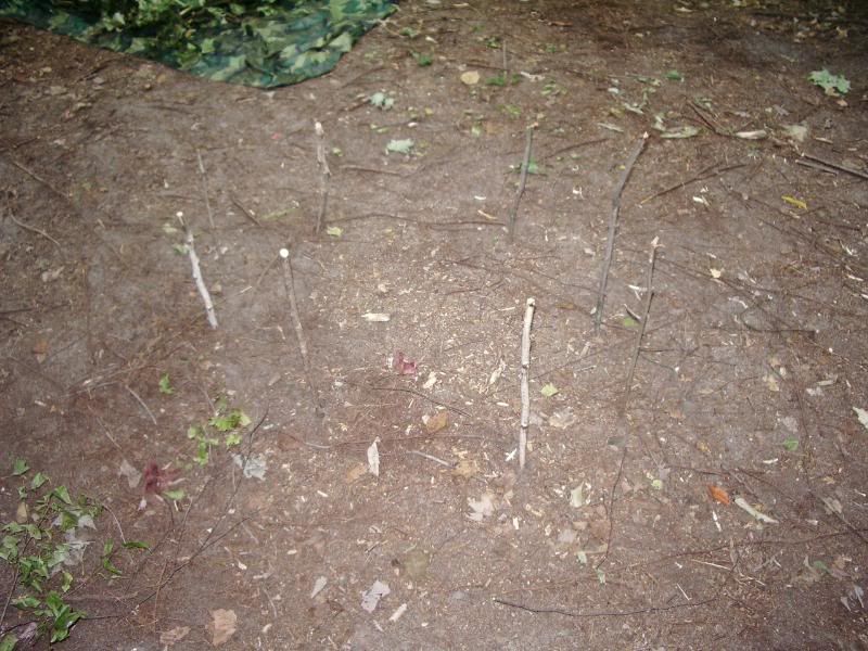 WLCAdvanced028.jpg