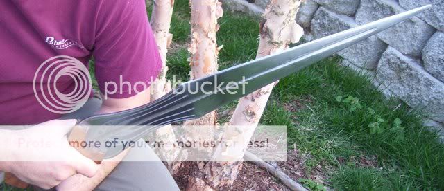 100_4096.jpg