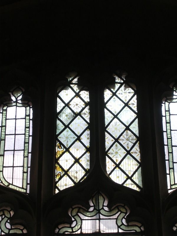 DSCN4253.jpg