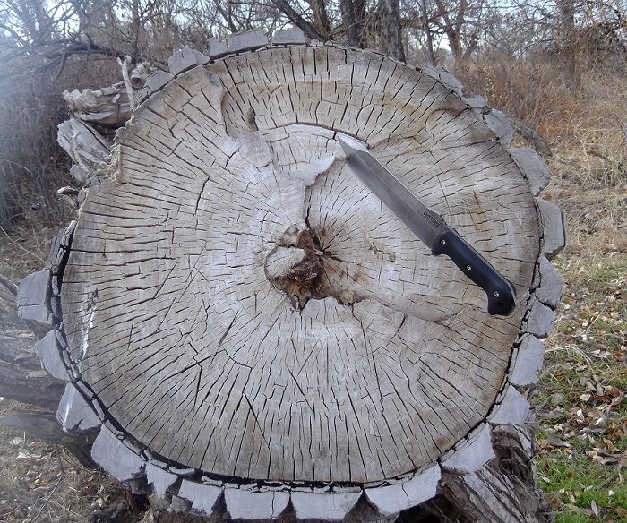 BK9%20Big%20Stump_zpsgmwwjkwz.jpg
