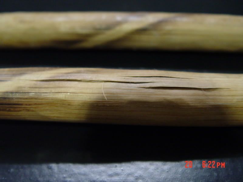 DSC06885.jpg