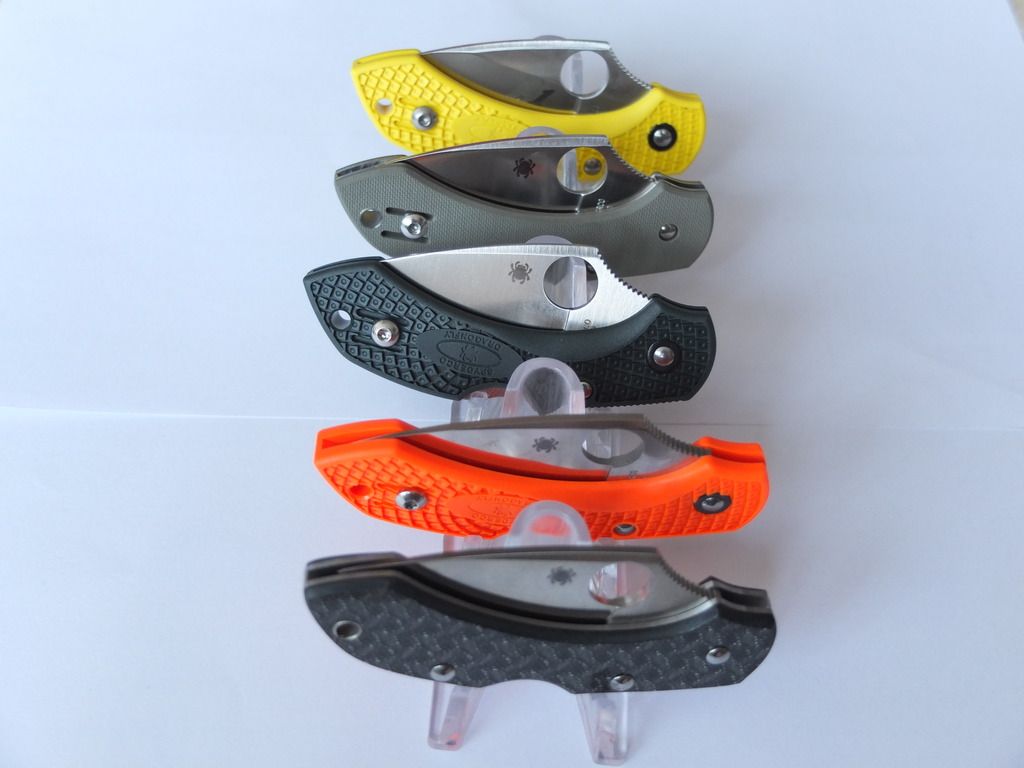 SPYDERCO%20DRAGONFLY.jpg