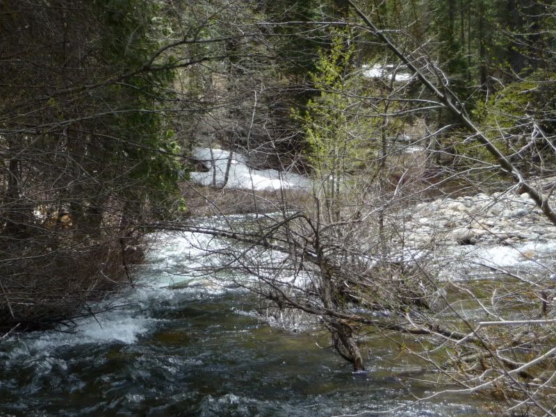 P1050270.jpg