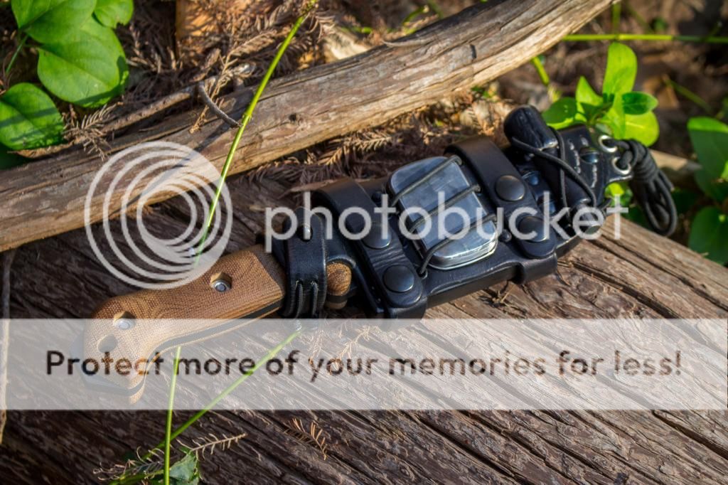 IMG_0447_zps58addf27.jpg~original