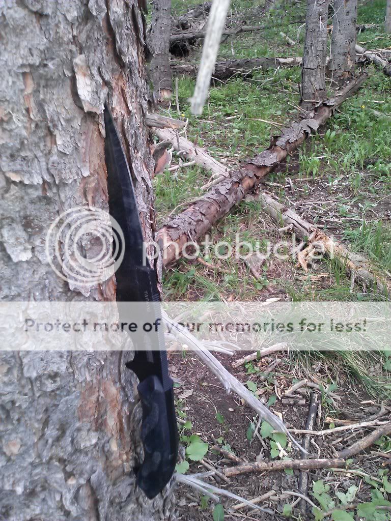 CAM00197_zps8e99fd17.jpg