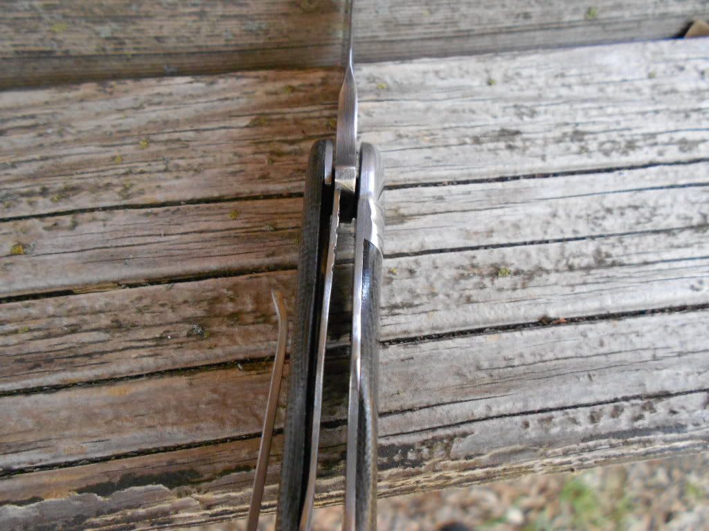 micartaflipper012.jpg