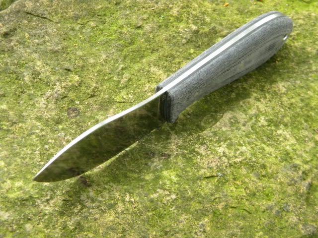 DSCN1763.jpg