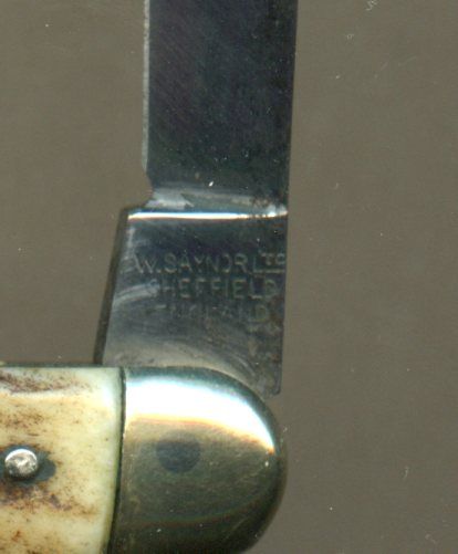WSaynor632.jpg