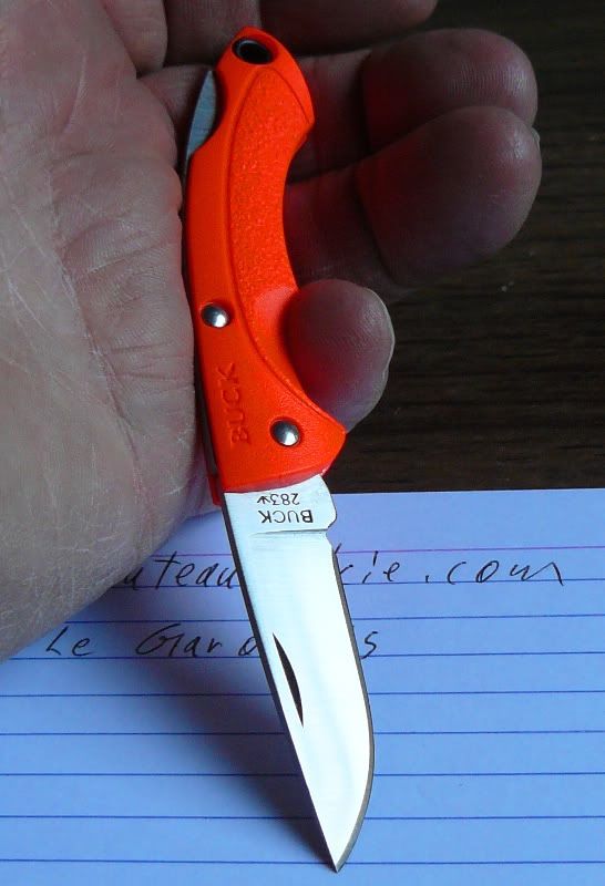 783005.jpg