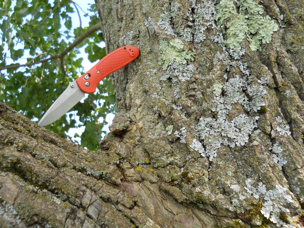 griptilianandmachete009.jpg